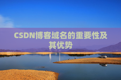 CSDN博客域名的重要性及其优势
